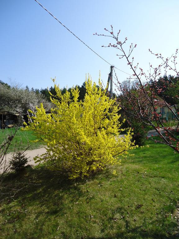 Homestay Roja Vilnius Buitenkant foto