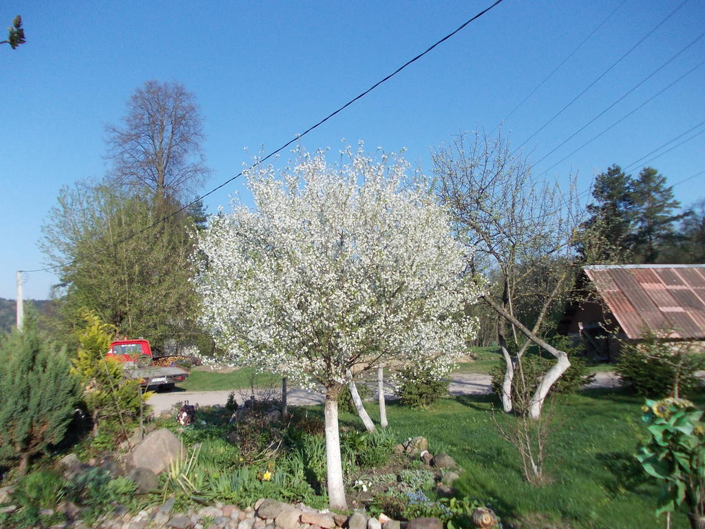 Homestay Roja Vilnius Buitenkant foto